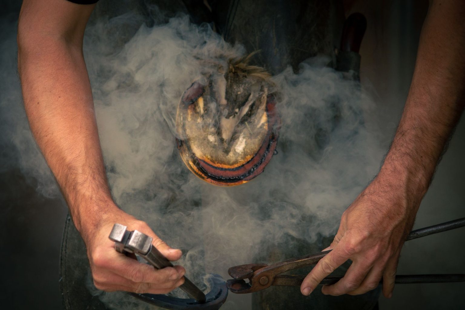 Farrier hot-fitting a horseshoe to a hoof