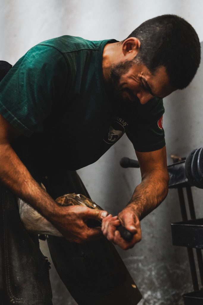 Farrier trimming a hoof in a stable