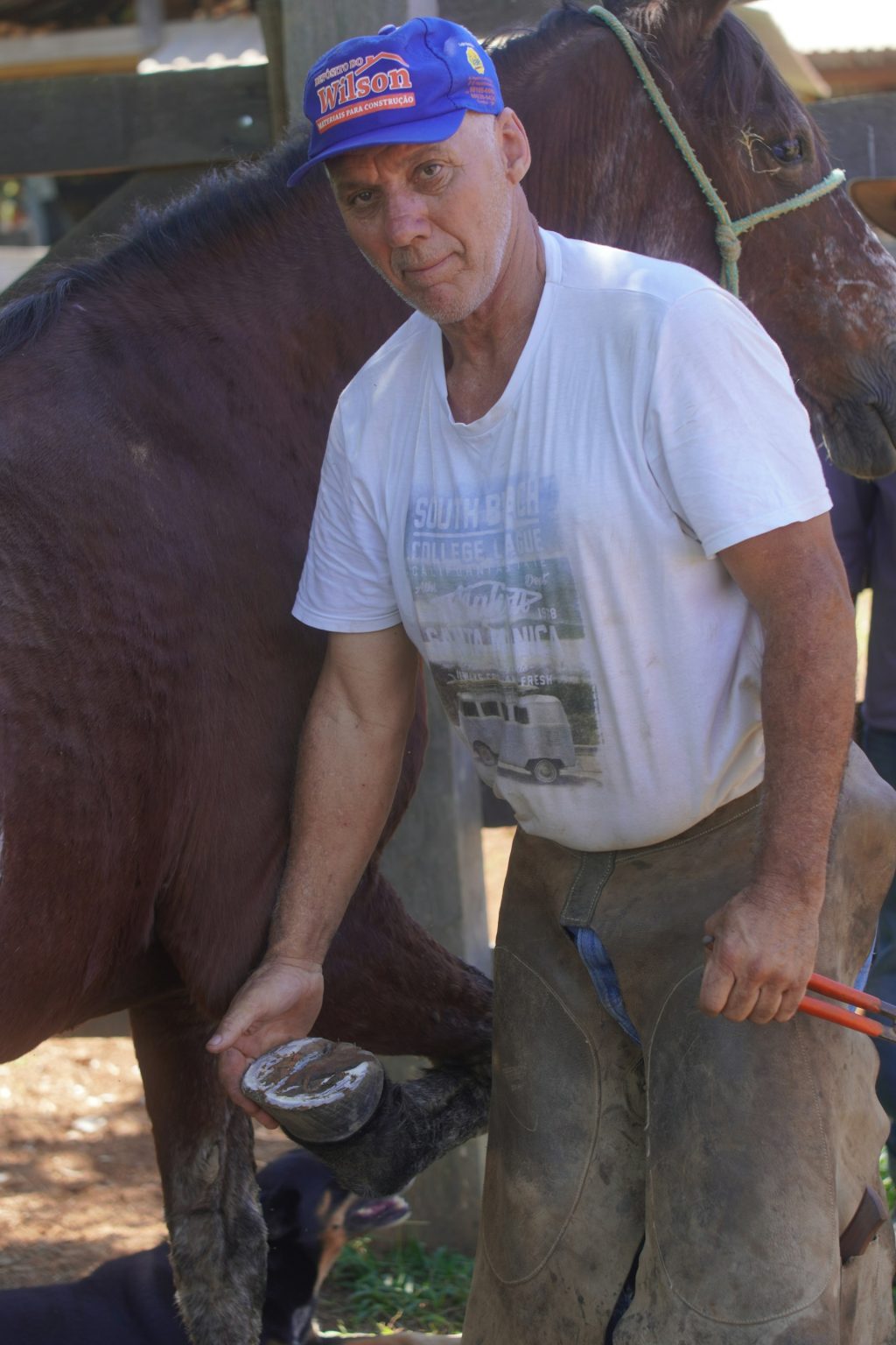 Farrier working on a horse hoof outdoors